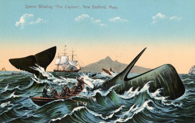 Hvalfangere, der harpunerer en kaskelothval ud for New Bedford, Massachusetts af American School