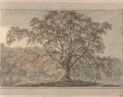 Udsigter i England, Skotland og Wales: Ask i Londesbro Park, maj 1800 af Amos Green