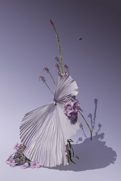  af Ana Carolina Tavares Mizrahi