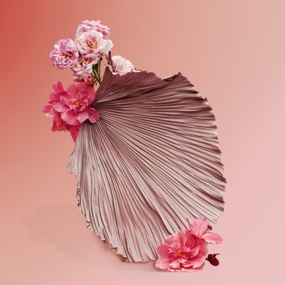 Ikebana 09, 2018 (fotografi) af Ana Carolina Tavares Mizrahi