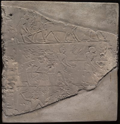 Fragment af en stele, der viser pløjning, høst og fåreavl af Ancient Egyptian