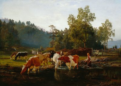 Køer ved floden af Anders Askevold
