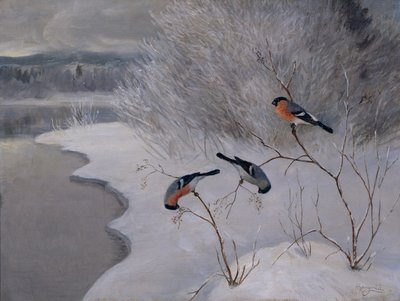 Bullfinches af Anders Kongsrud
