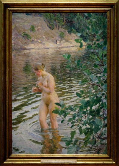 Den kolde strøm af Anders Leonard Zorn