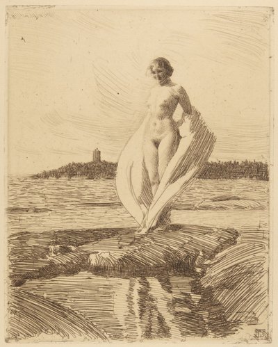 Svanen af Anders Leonard Zorn