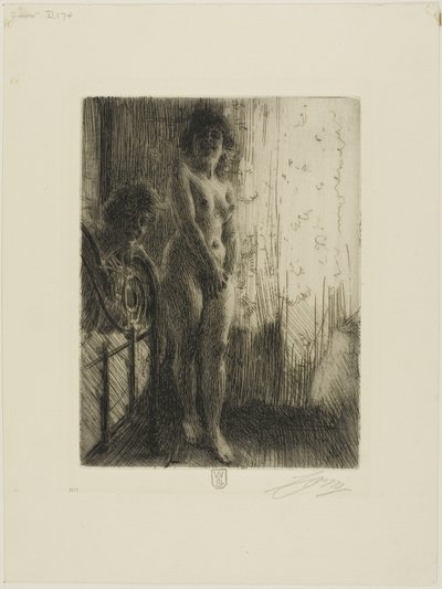 Et mørkt hjørne af Anders Leonard Zorn