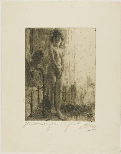 Et mørkt hjørne af Anders Leonard Zorn