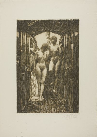 Kabine af Anders Leonard Zorn