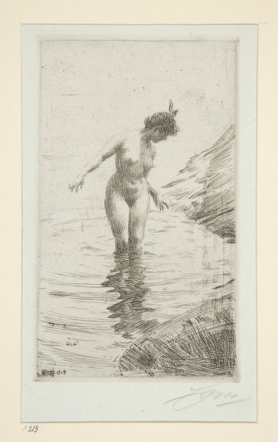 cirkler d af Anders Leonard Zorn