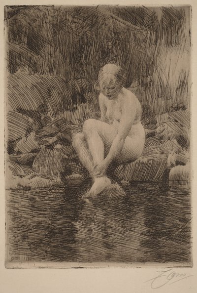  af Anders Zorn