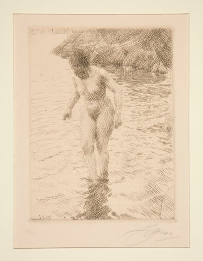 dollars af Anders Leonard Zorn
