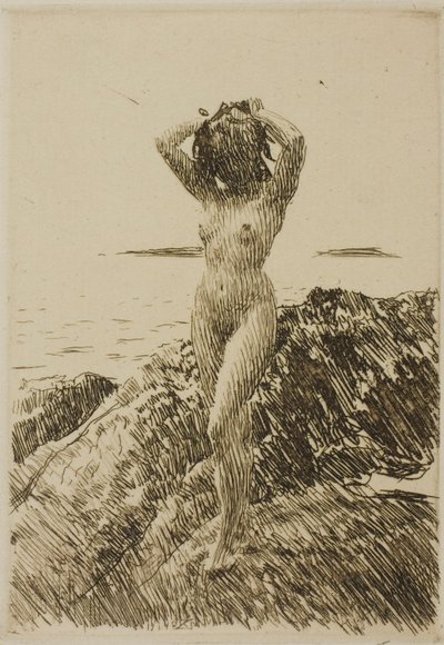 Hårtång (tangkrans) af Anders Zorn