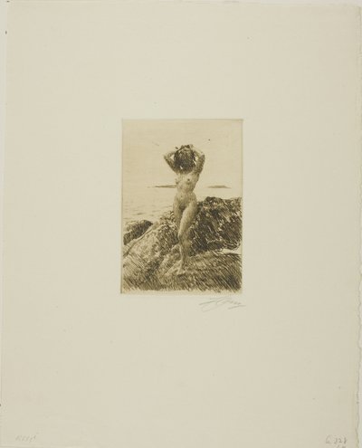 Hårtång (Havved-krans) af Anders Leonard Zorn