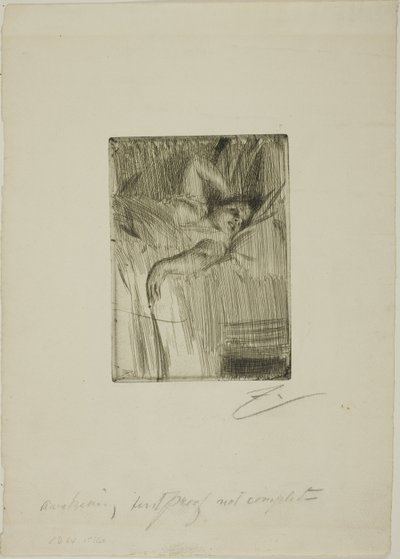Alarmen af Anders Leonard Zorn