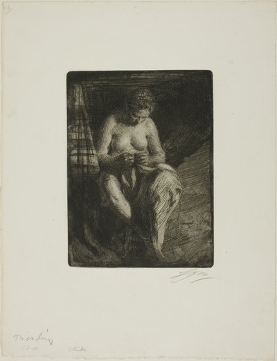 Udbedring af Anders Leonard Zorn