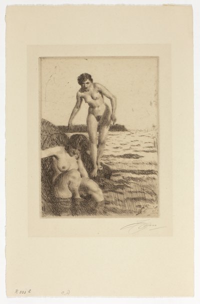 På øen Hemsö af Anders Zorn