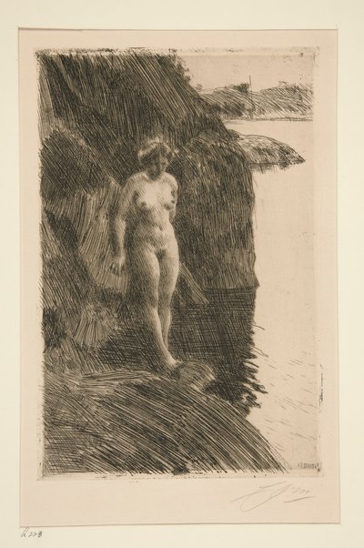 Især af Anders Leonard Zorn