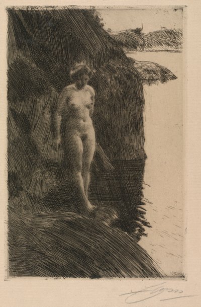 Afgrund af Anders Leonard Zorn