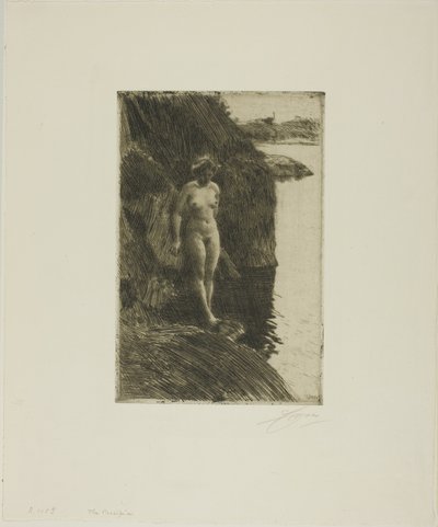 Afgrund af Anders Leonard Zorn