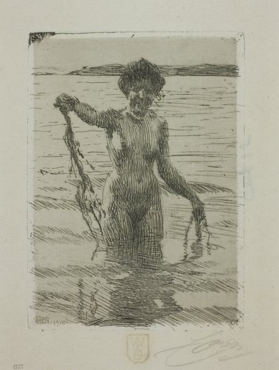 Tang af Anders Leonard Zorn