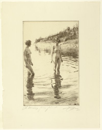Overfladisk af Anders Leonard Zorn