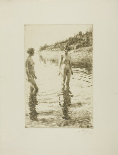 Overfladisk af Anders Leonard Zorn