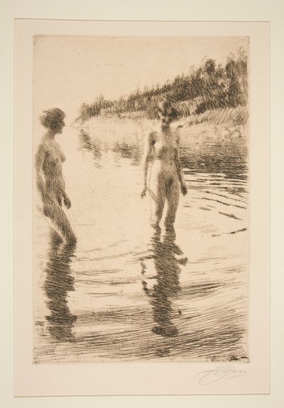 Overfladisk af Anders Leonard Zorn