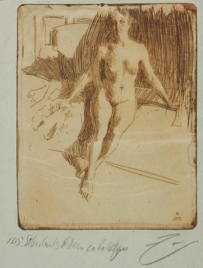 Studie fra Model af Anders Leonard Zorn