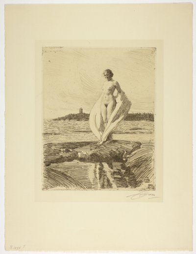 Svanen af Anders Leonard Zorn