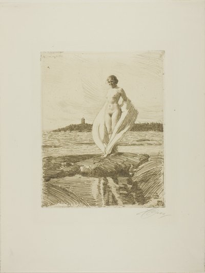Svanen af Anders Leonard Zorn