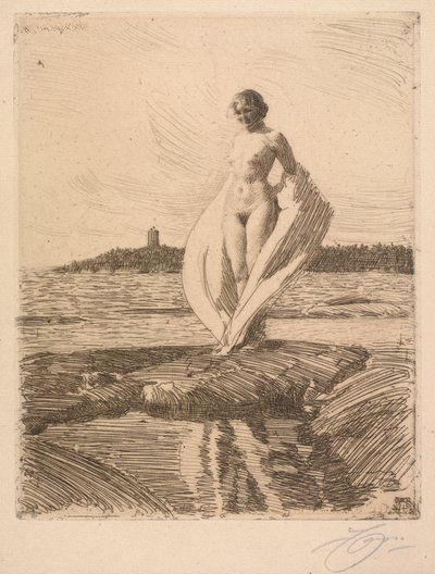 Svanen af Anders Leonard Zorn