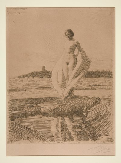 Svanen af Anders Leonard Zorn