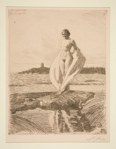 Svanen af Anders Leonard Zorn