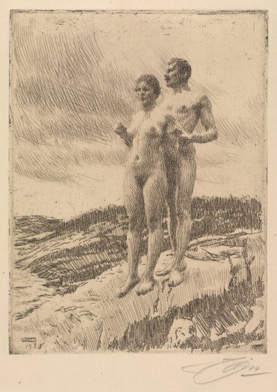 De to af Anders Leonard Zorn