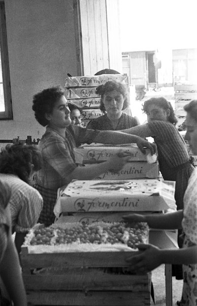 BITTERE DRUER - MÆRKEVAREEMBALLAGE af Ando Gilardi