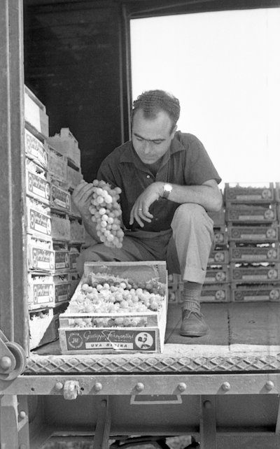 BITTERE DRUER - KLAR TIL LEVERING af Ando Gilardi