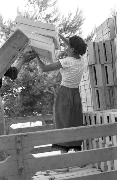 BITTERE DRUER - START PÅ DAGEN af Ando Gilardi