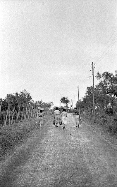 BITTERE DRUER - MOD DEN TILDELTE POST af Ando Gilardi