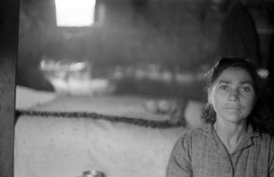 CROTONE - HÅB FOR FREMTIDEN af Ando Gilardi