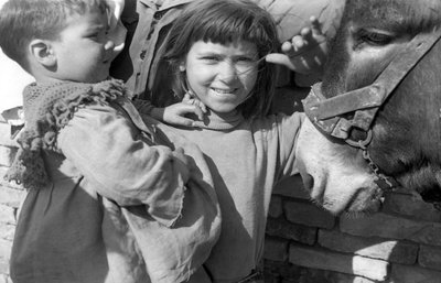 CROTONE - LIVET I ARBEJDERBYERNE, af Ando Gilardi