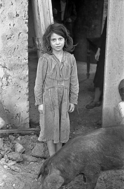 CROTONE COUNTRYSIDE - PIGE OG GRIS af Ando Gilardi