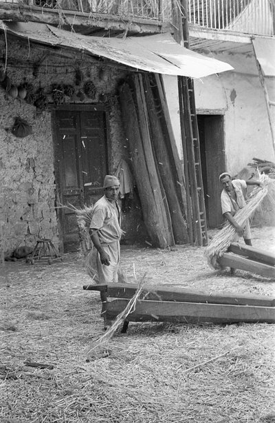 FORARBEJDNING AF HAMP, ARBEJDERE PÅ "MACENNELE" af Ando Gilardi