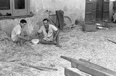 FORARBEJDNING AF HAMP, FÆLLES SUPPE af Ando Gilardi