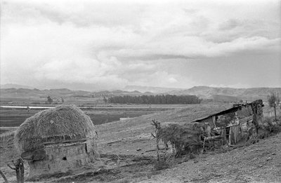 SKUR MED LADE af Ando Gilardi