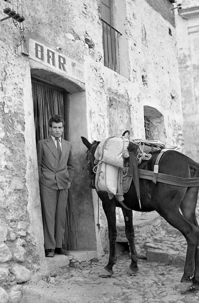 STOP MED MULDYRET af Ando Gilardi