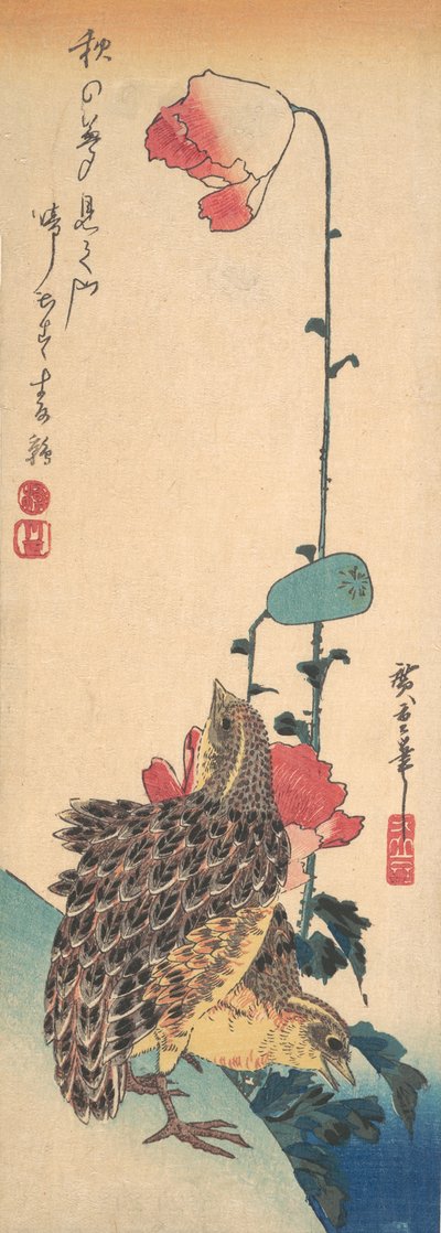 Et par vagtler og valmuer, ca. 1835., ca. 1835. af Ando Hiroshige