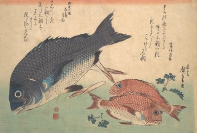 Kurodai og Kodai fisk med bambusskud og bær, fra serien Uozukushi Every V..., 1830