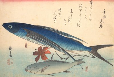 Tobiuo og Ishimochi Fish, fra serien Uozukushi Every Variety of Fish, 1840
