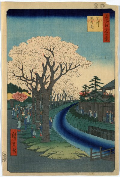 Print viser sightseere, der ser kirsebærblomster langs bredden af Tama-floden ved Edo, træsnit af Ando Hiroshige af Ando or Utagawa Hiroshige