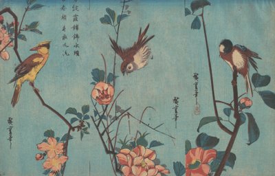 Mejser og kameliaer, spurve og vilde roser og sortnavet oriole og kirsebærblomster, ca. 1833 (træbloktryk) af Ando or Utagawa Hiroshige